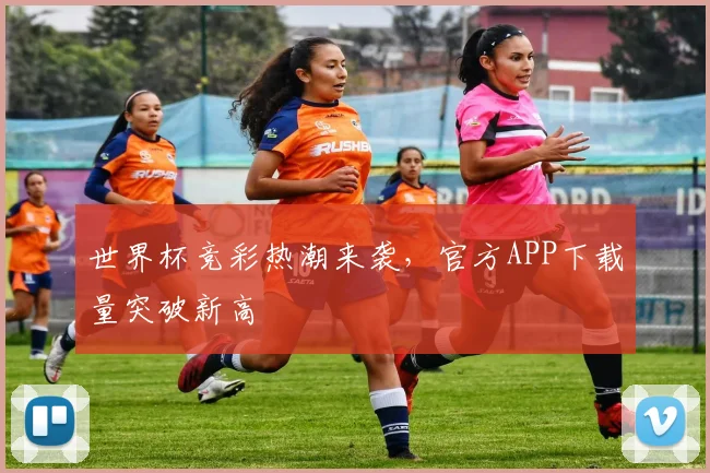 世界杯竞彩热潮来袭,官方APP下载量突破新高