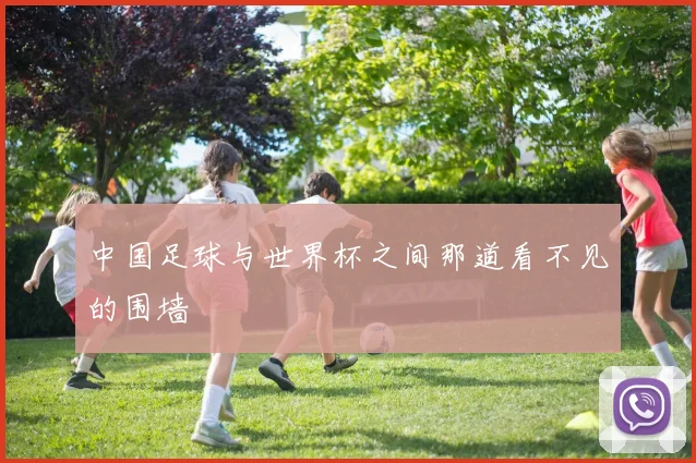 中国足球与世界杯之间那道看不见的围墙