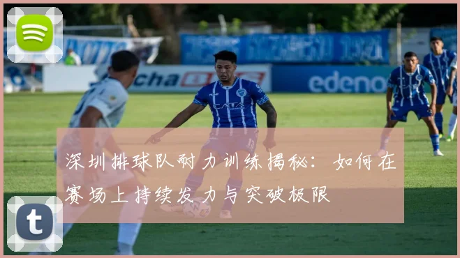 深圳排球队耐力训练揭秘：如何在赛场上持续发力与突破极限