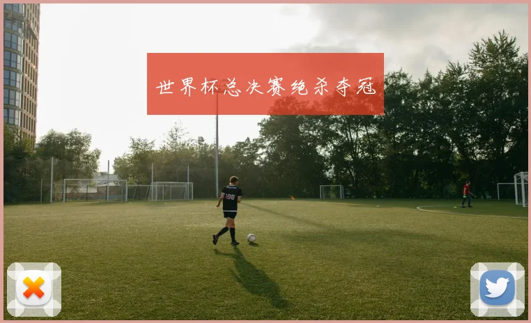 世界杯总决赛绝杀夺冠