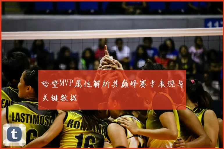 哈登MVP属性解析其巅峰赛季表现与关键数据