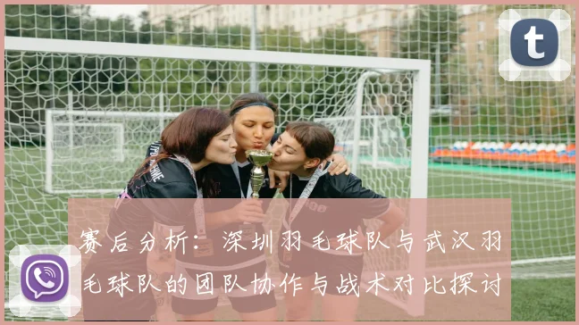 赛后分析：深圳羽毛球队与武汉羽毛球队的团队协作与战术对比探讨