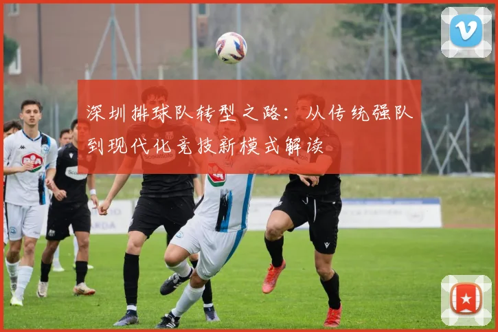 深圳排球队转型之路：从传统强队到现代化竞技新模式解读