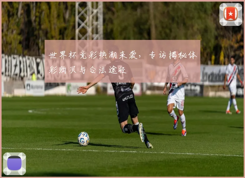 世界杯竞彩热潮来袭,专访揭秘体彩购买与合法途径